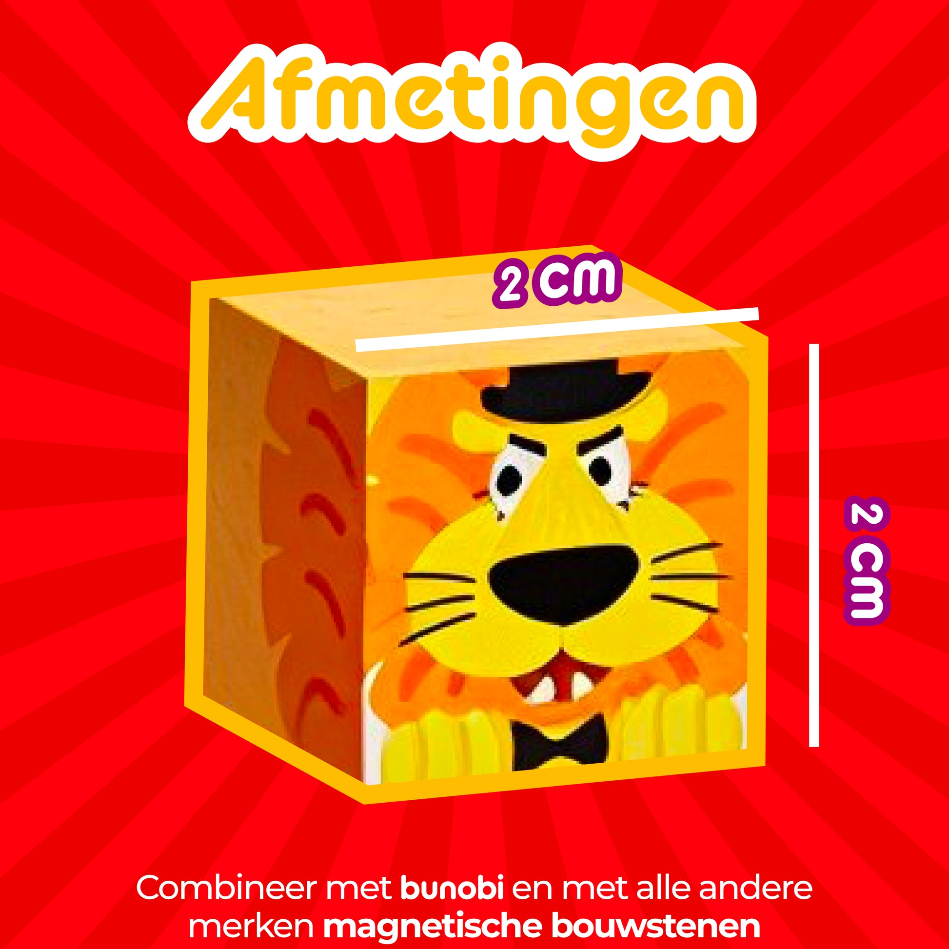 magnetisch speelgoed